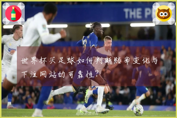 世界杯买足球如何判断赔率变化与下注网站的可靠性？