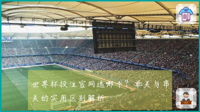 世界杯投注官网选哪个?单关与串关的实用区别解析