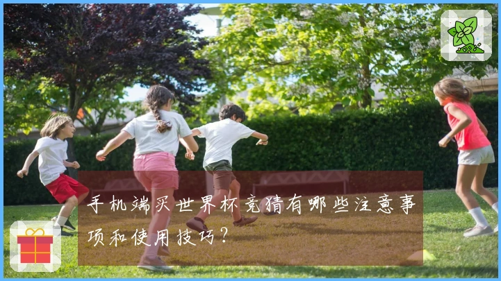 手机端买世界杯竞猜有哪些注意事项和使用技巧?